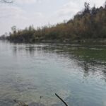 La Laune et les Communaux