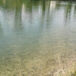 La Laune et les Communaux