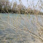 La Laune et les Communaux