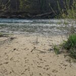 La Laune et les Communaux