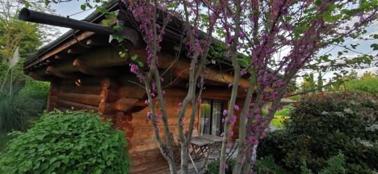 chalet maramour : jardin et extérieurs. Très beaux extérieurs avec buissons, arbres et fleurs chalet maramour : jardin et extérieurs