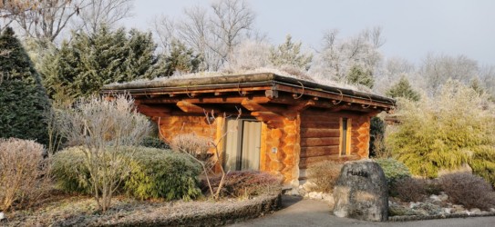 chalet maramour 25m² en bois, avec un toit végétalisé et un beau cadre extérieur. Beaucoup de végétation chalet maramour 25m²